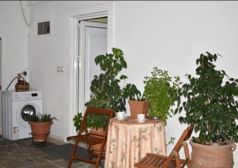 Zoe'S Apartment Bright&Cozy Athena Bagian luar foto