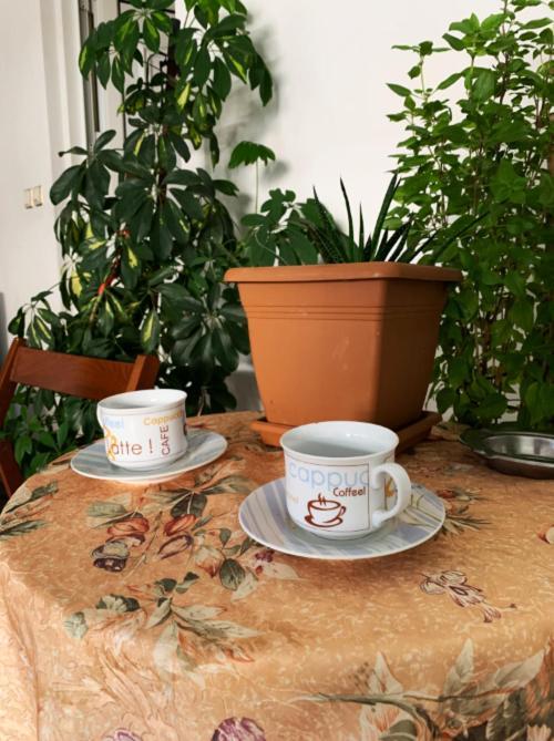 Zoe'S Apartment Bright&Cozy Athena Bagian luar foto
